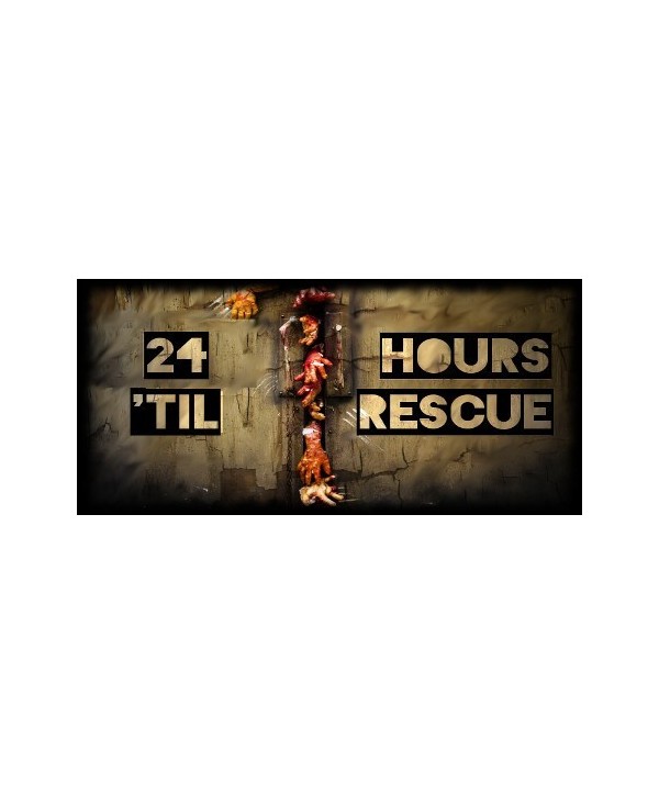 24 Hours 'til Rescue Steam Key GLOBAL